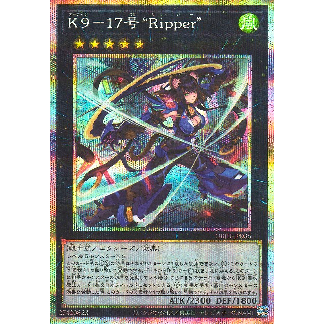 K9 17 Ripper